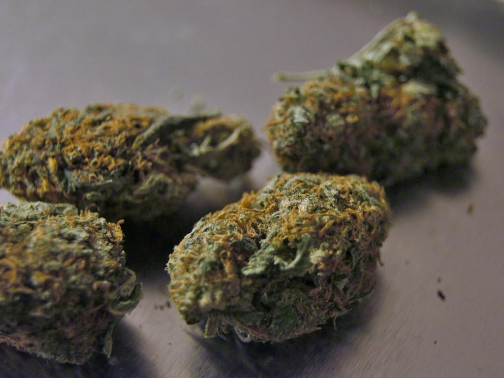 aprendiendo como comprar marihuana sin que te timen