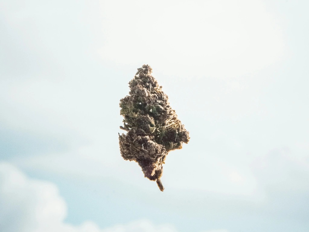 hoja de marihuana flotando en el cielo