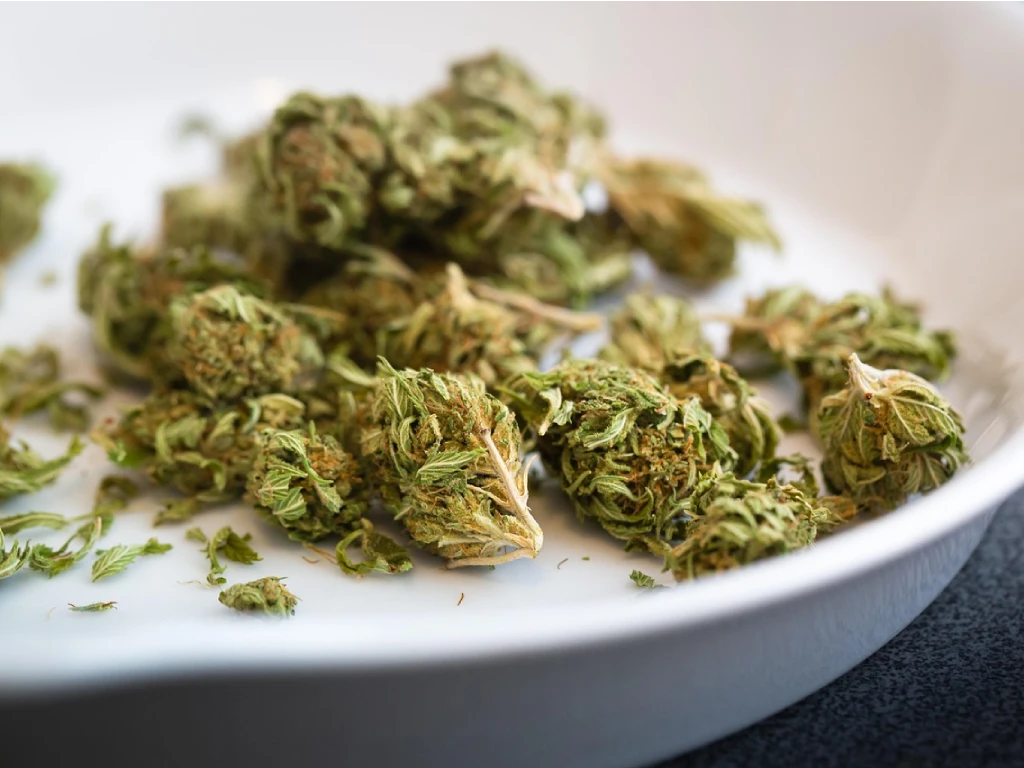 Marihuana con trazos de semillas.