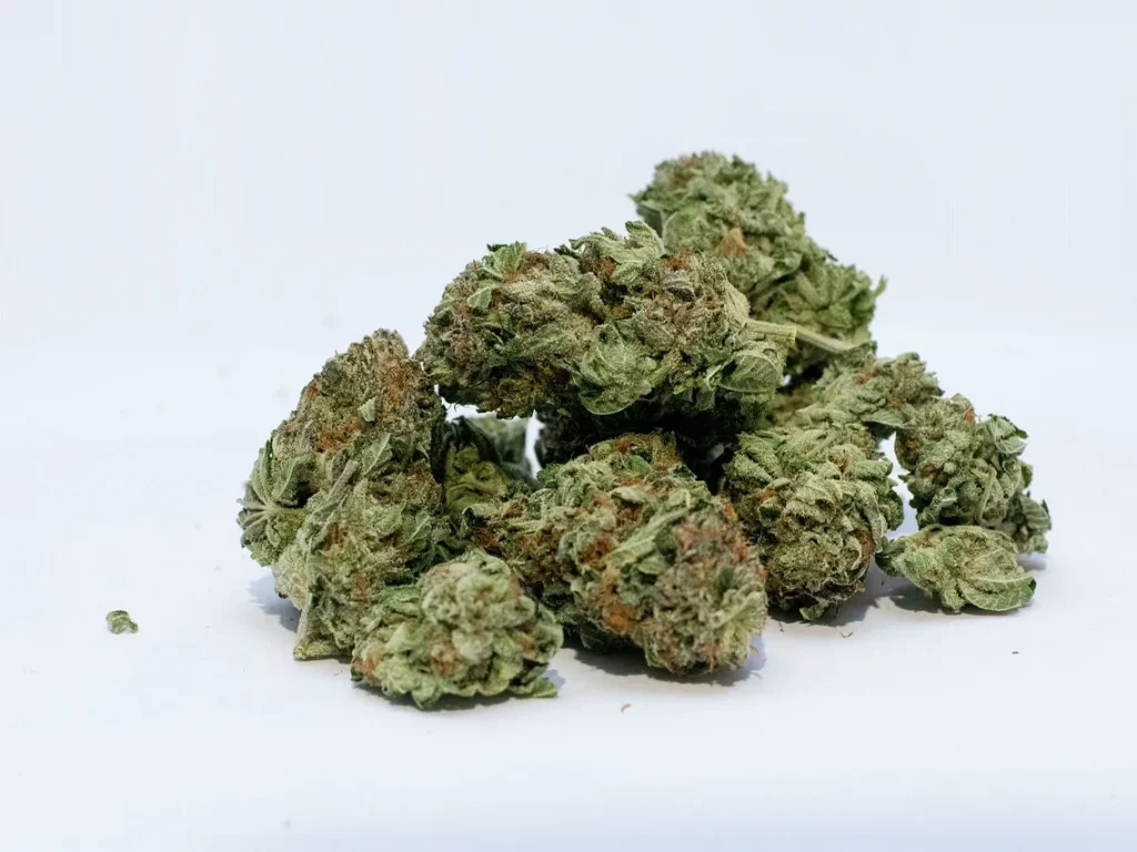 Marihuana como ejemplo de como identificar la marihuana de calidad