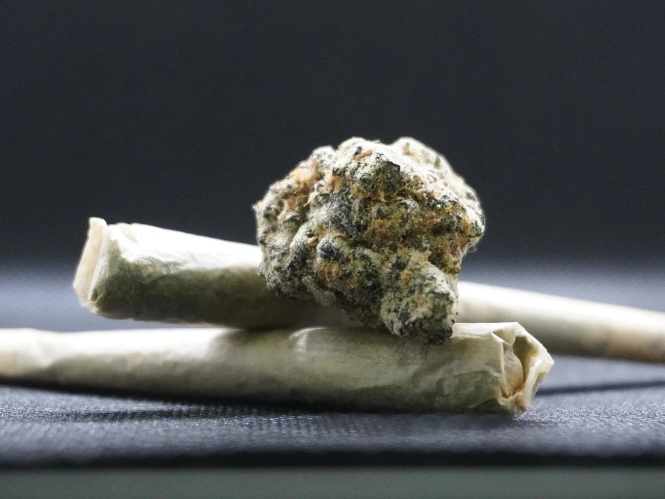 Marihuana con moho
