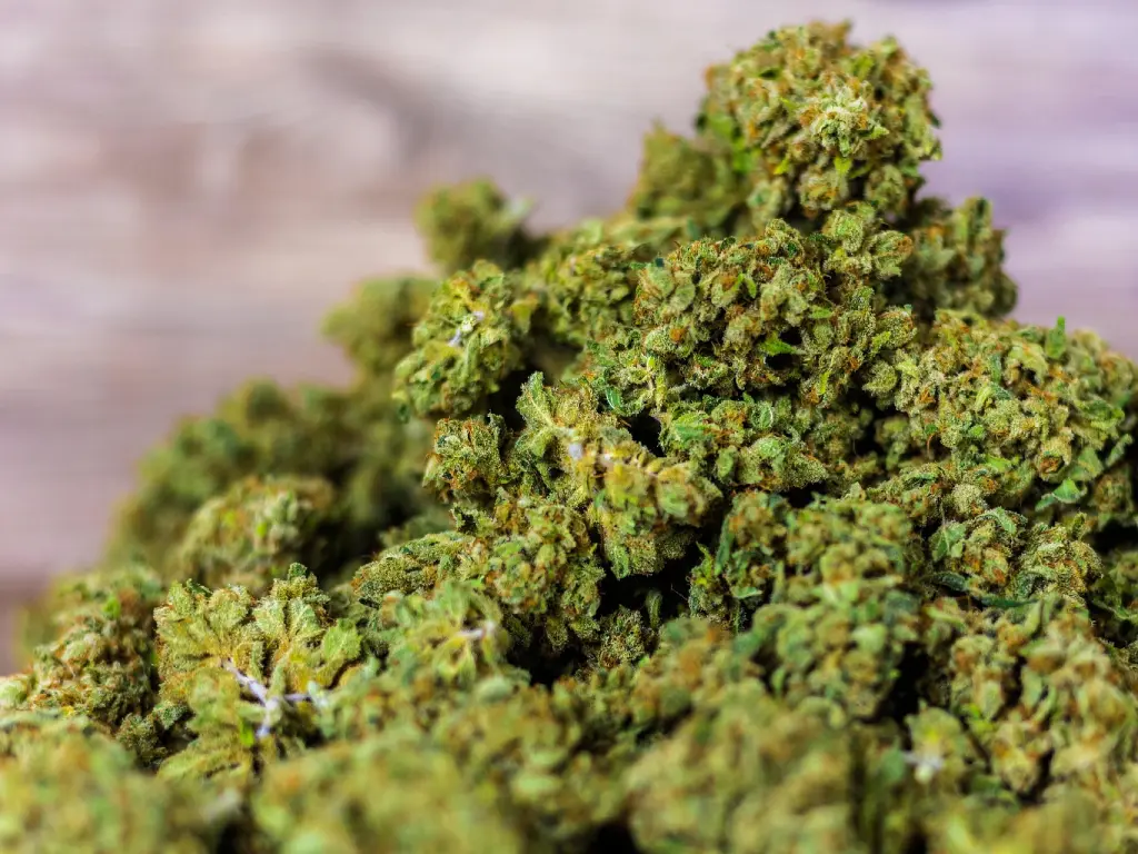 Marihuana no procesada para ilustrar la marihuana prensada.